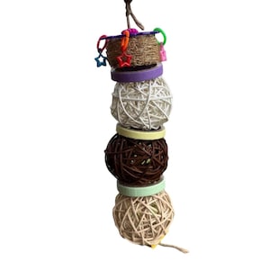 AviNature Forage Delight Bird Toy