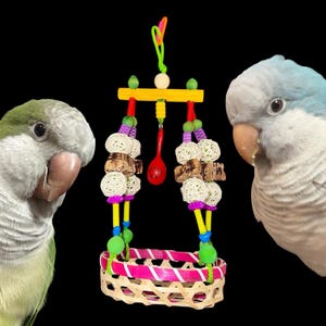 Fiesta Fun Nest Vogel Spielzeug