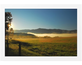 Nature Wall Art Forest, Photography Prints Nature