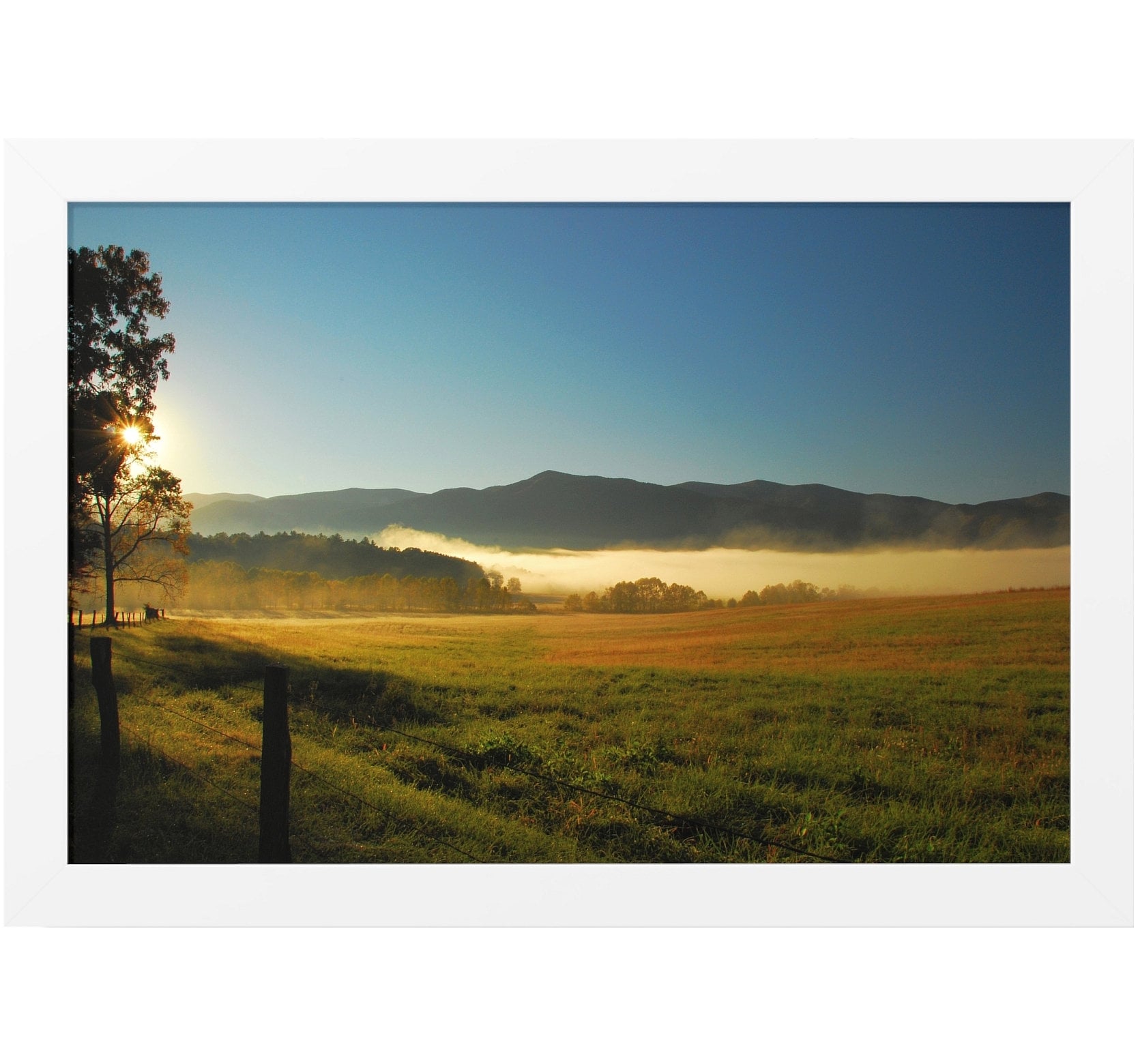 NATURE Wall Art NATURE Wall Decor Nature Art Nature Prints Photography ...