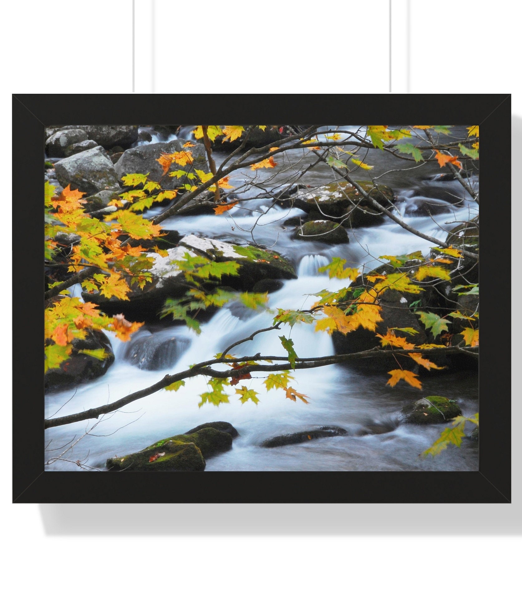 living-room-wall-art-living-room-wall-decor-photography-prints-nature