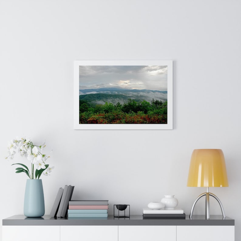 Nature Photography Prints, Nature Wall Art, Photography Prints Nature, Framed Photography Prints, Forest Wall Art Nature