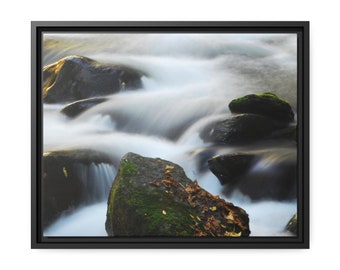 Framed Nature Wall Art, Nature Wall Decor, Photography Prints Nature, Wall Art Nature, Framed Nature Photography, Home Decor, Wall Decor