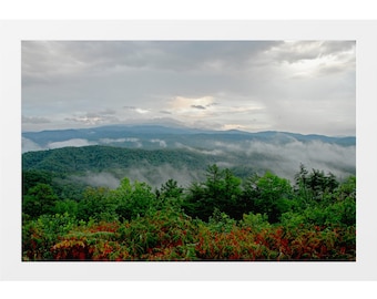 Nature Wall Art Framed, Photography Prints Nature