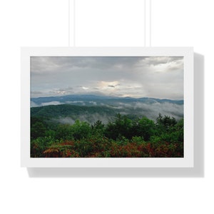 Nature Photography Prints, Nature Wall Art, Photography Prints Nature, Framed Photography Prints, Forest Wall Art Nature