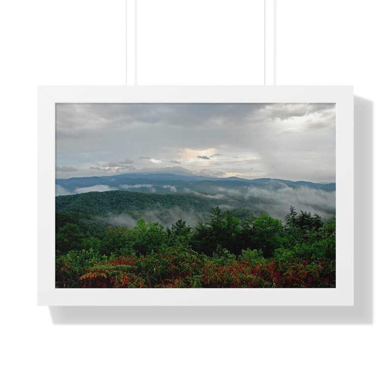 Nature Photography Prints, Nature Wall Art, Photography Prints Nature, Framed Photography Prints, Forest Wall Art Nature