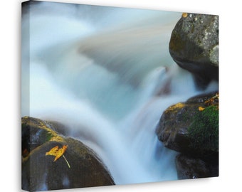 Nature Wall Art Canvas, Photography Prints Nature Canvas