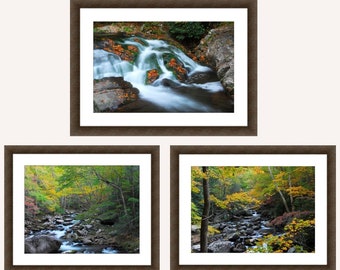 Photography Prints Nature Digital Download Photography Prints Digital Download Nature Prints Digital Download