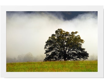 Nature Wall Art Prints, Photography Prints Nature