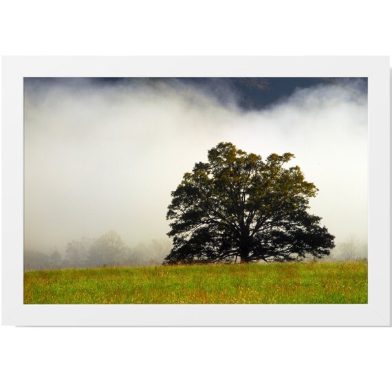 Framed Nature Landscape Photography Prints, Nature Wall Art, Nature Wall Decor Photography Print