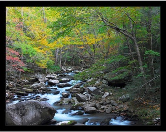 Nature Wall Art Canvas, Photography Prints Nature
