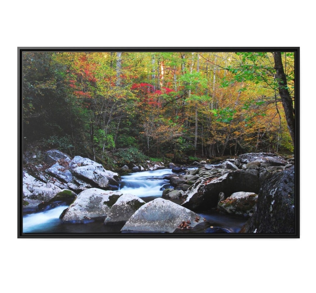 Nature Wall Art Framed, Photography Prints Nature, Nature Art, Nature