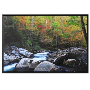 Fotografía de naturaleza, impresiones de naturaleza, impresiones fotográficas de naturaleza, enmarcadas, lienzo, bosque, paisaje, montañas, decoración de pared