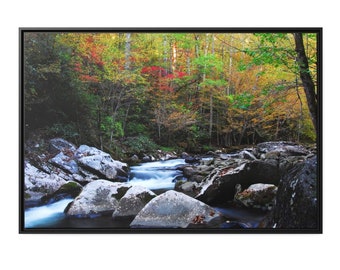 Nature Wall Art Framed, Photography Prints Nature, Nature Art, Nature Wall Art, Nature Photography Print, Home Decor, Wall Decor