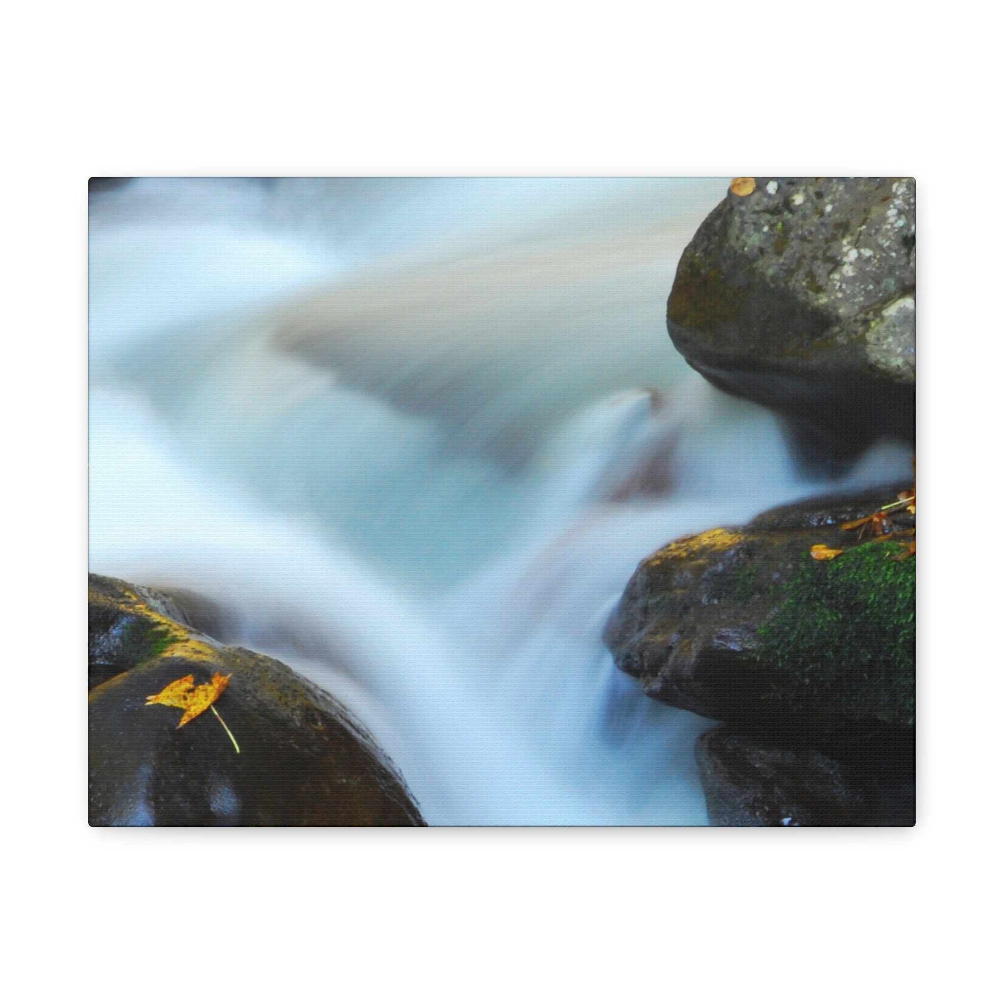 Canvas Nature Prints, Photography Prints Nature Canvas, Photography Prints, Home Decor, Wall Decor, Wall Art, Landscape Prints
