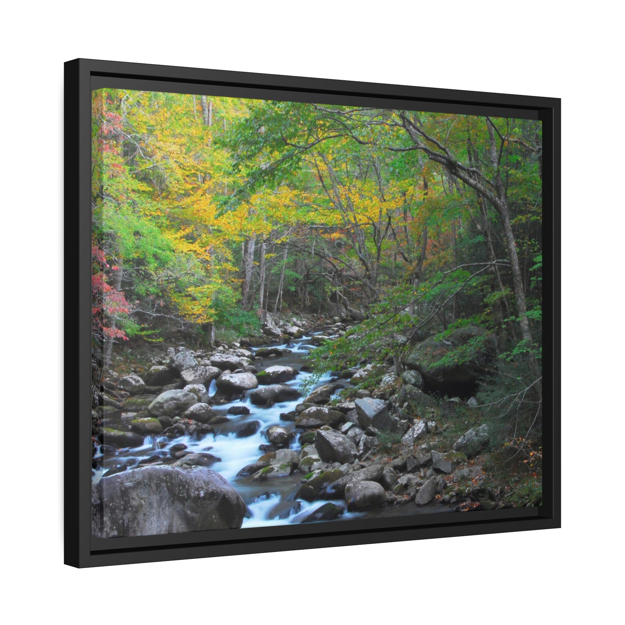 Photography Print Nature, Wall Art Nature Print, Landscape Photography