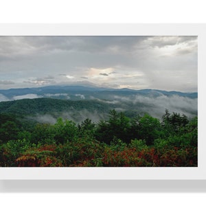 Nature Photography Prints, Nature Wall Art, Photography Prints Nature, Framed Photography Prints, Forest Wall Art Nature