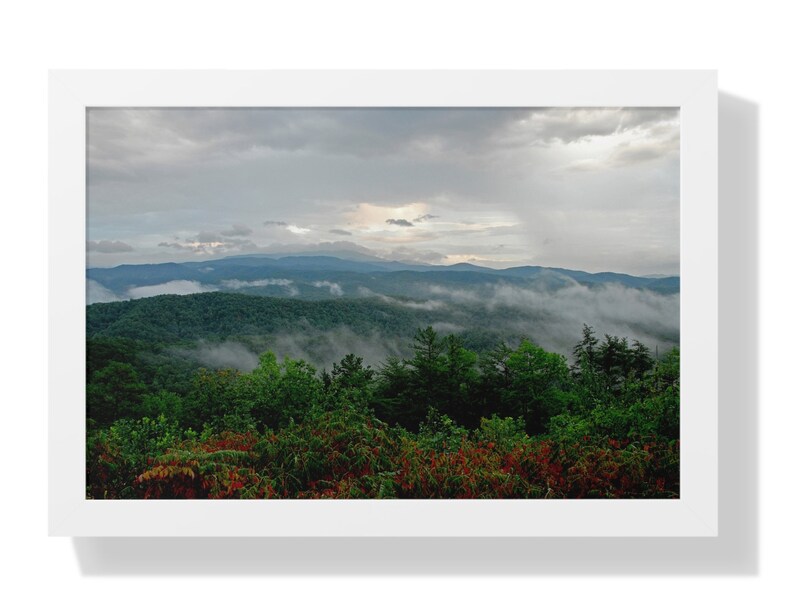 Nature Photography Prints, Nature Wall Art, Photography Prints Nature, Framed Photography Prints, Forest Wall Art Nature