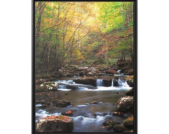 Photography Prints Nature, Wall Art Nature, Photography Prints