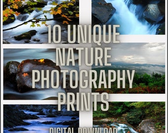 Photography Prints Nature Digital Download Nature Prints Digital Download Nature Photography Prints Digital Download