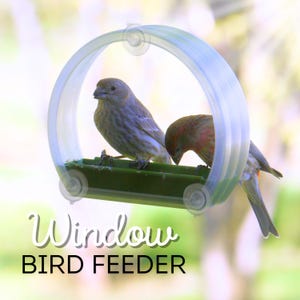 Mangeoire pour oiseaux avec fenêtre ~ Bac à graines amovible ~ Ventouse
