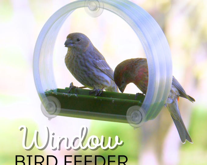 Window Bird Feeder ~ Removable Seed Tray ~ Suction Cup Attachment