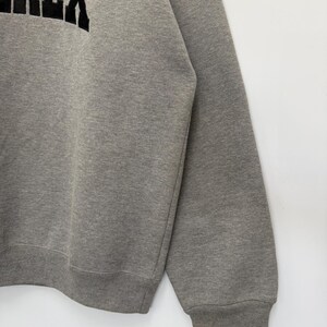 Pode incluir: Camisola cinzenta com a palavra "IREX" em letras grandes e pretas no peito. A camisola tem gola redonda e mangas compridas com punhos canelados. O tecido parece ser um material macio e confort&aacute;vel.