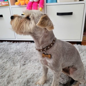 Medaglietta identificativa personalizzata in legno per cani: medaglione con nome inciso