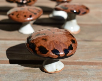 Handmade Ceramic Mushroom Brown Black Tenmoku Garden Bookshelves