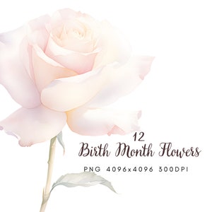 Aquarelle Mois de naissance Fleur Clipart - Mois de naissance Floral PNG, Élégant et Botanique Clipart Bundle