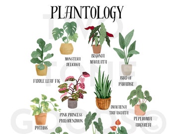 Arte Vegetal, Plantología, Logotipo De Planta, Diseño De Plantas, Calcomanía De Plantas