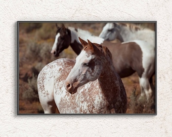 Fotografía de caballos salvajes, imprimir arte rústico de la pared, cartel de caballos, impresión de arte digital de la foto de los caballos, foto de descarga instantánea, decoración de la sala de estar