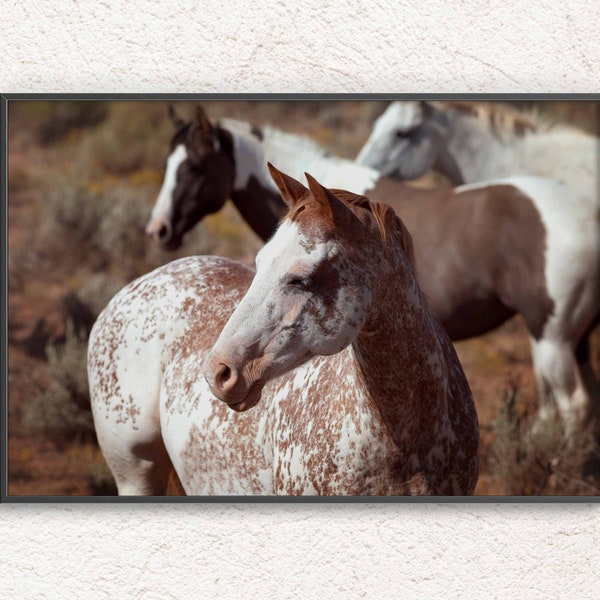 Wild horses Photography, Print Rustic Wall Art, Horses Poster, Horses photo digital art print, Instant Download Photo, Living Room Decor