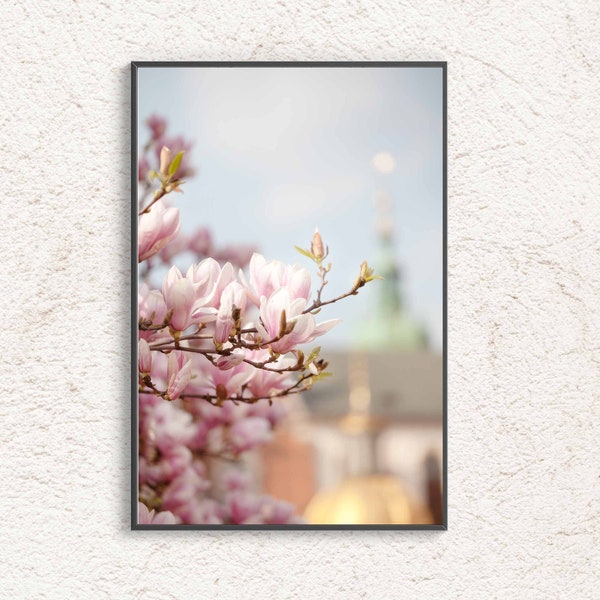 Magnolia Photography, Pink Flower Poster, Delicate magnolia flower photo, Botanical Pastel Digital Print Aesthetic, Relaxation  Floral Art