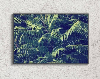 Fotografía de arte de la naturaleza, impresión de arte digital fotográfico moderno, decoración de pared boho verde, bellas artes botánicas, cartel estético, descarga digital