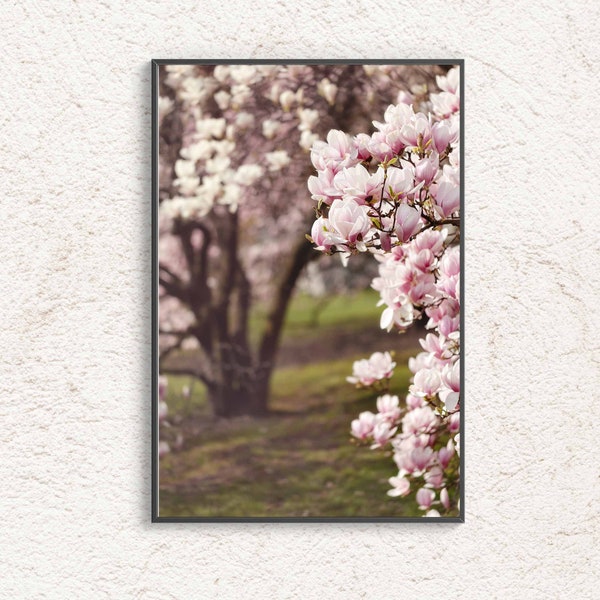 Magnolia Photography, Spring Flower Digital File, Magnolia Tree Poster, Pink Home Decor,  Modern Fine Art Photography, Printable wall art