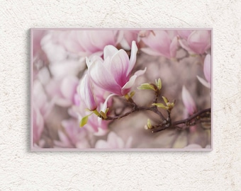 Spring Flower Photography, Magnolia Photo, Pastel Botanical Poster, Photo digital art print, Pink Floral Wall Decor, Spring Theme printable