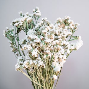 Dried Flower Bunch-Statice White – Sunny Meadows Flower Farm