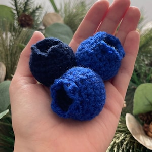 Blueberry Crochet Pattern (PDF) (english) - Etsy