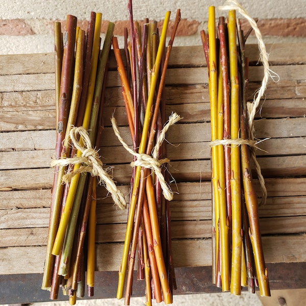 Boutures de saule, mix de plusieurs variétés, bio, permaculture, haie vivante, osier. Jardin d'Emerveille