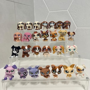 May include: A selection of small dog figurines in various colours, arranged on a clear, tiered display shelf. The figurines depict different breeds, including brown, white, pink, and purple dogs, each with large eyes.