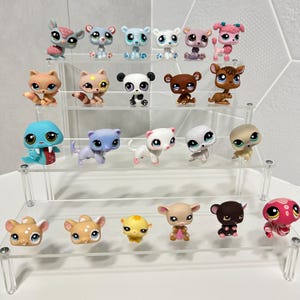 Puede incluir: Una colección de veintitrés figuras de animales de plástico dispuestas en un expositor de acrílico transparente de cuatro niveles. Las figuras incluyen varias criaturas como una morsa, un panda, un caniche y una serpiente, con ojos grandes y estilizados.