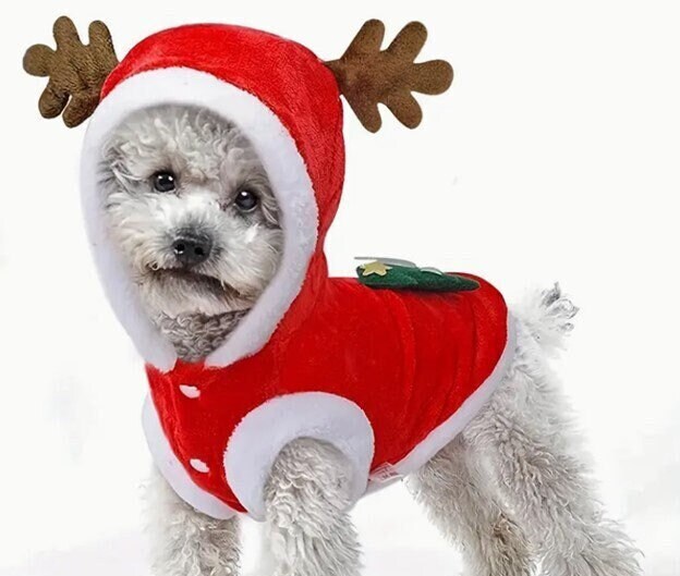 Christmas Costumes Etsy Singapore