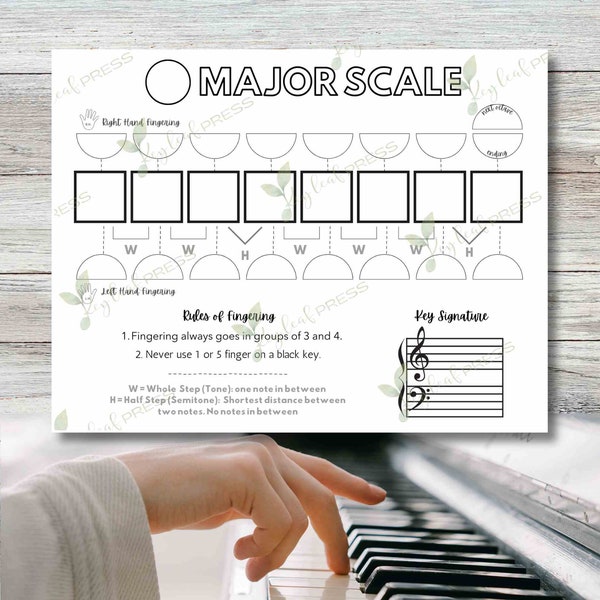 Major Scale Piano Worksheet | Piano Teaching | Music Scale | Piano Printable