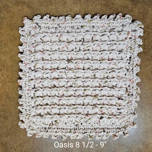 May include: A white crocheted dishcloth with a scalloped edge and flecks of pink and green. The dishcloth measures 8 1/2 inches by 9 inches.  "Oasis 8 1/2 - 9" is written below the dishcloth.