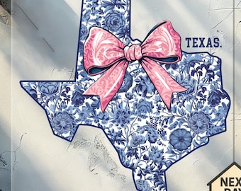 Floral Texas DTF Transfer, Coquette Wildflower State Design