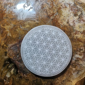 Peut inclure: Un dessous de verre en pierre blanche avec un motif de fleur de vie gravé. Le dessous de verre est posé sur un morceau de bois pétrifié.