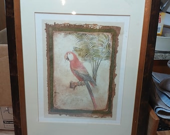Tropical  Parrot  Picture Framed in a Gold and Brown.