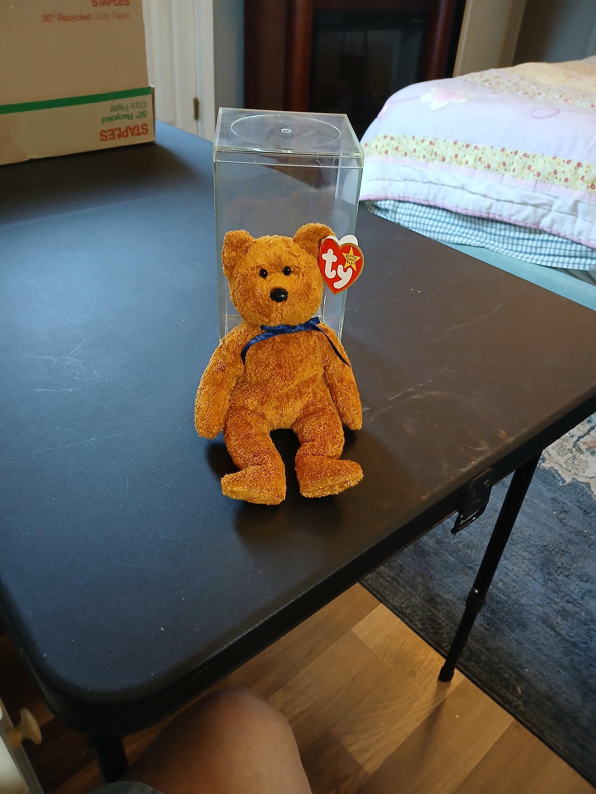 1998/1999 fuzz" Ty Beanie Baby With Few Errors on Tags. With Display Case  - Etsy