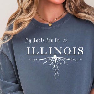 Illinois Pride Shirt: Rolling Hills Graphic Tee - Comfort Colors